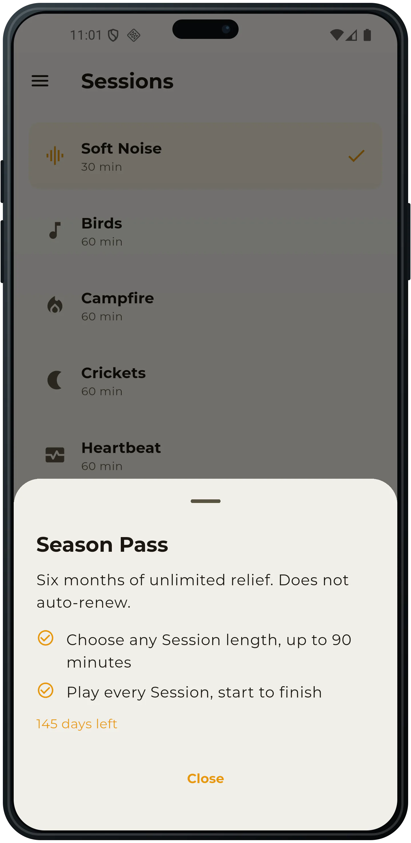 AfterNoise Season Pass overview